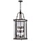 Cwi Lighting Desire 12 Light Drum Shade Chandelier With Oil Rubbed Bronze Finish 9809P17-12-109-A - alternate 1